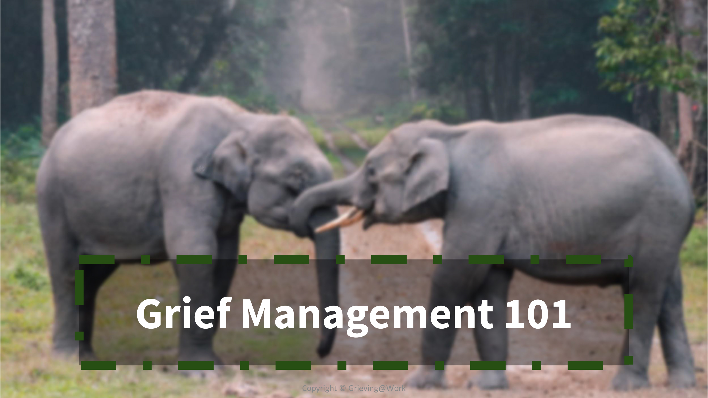 Grief Management 101