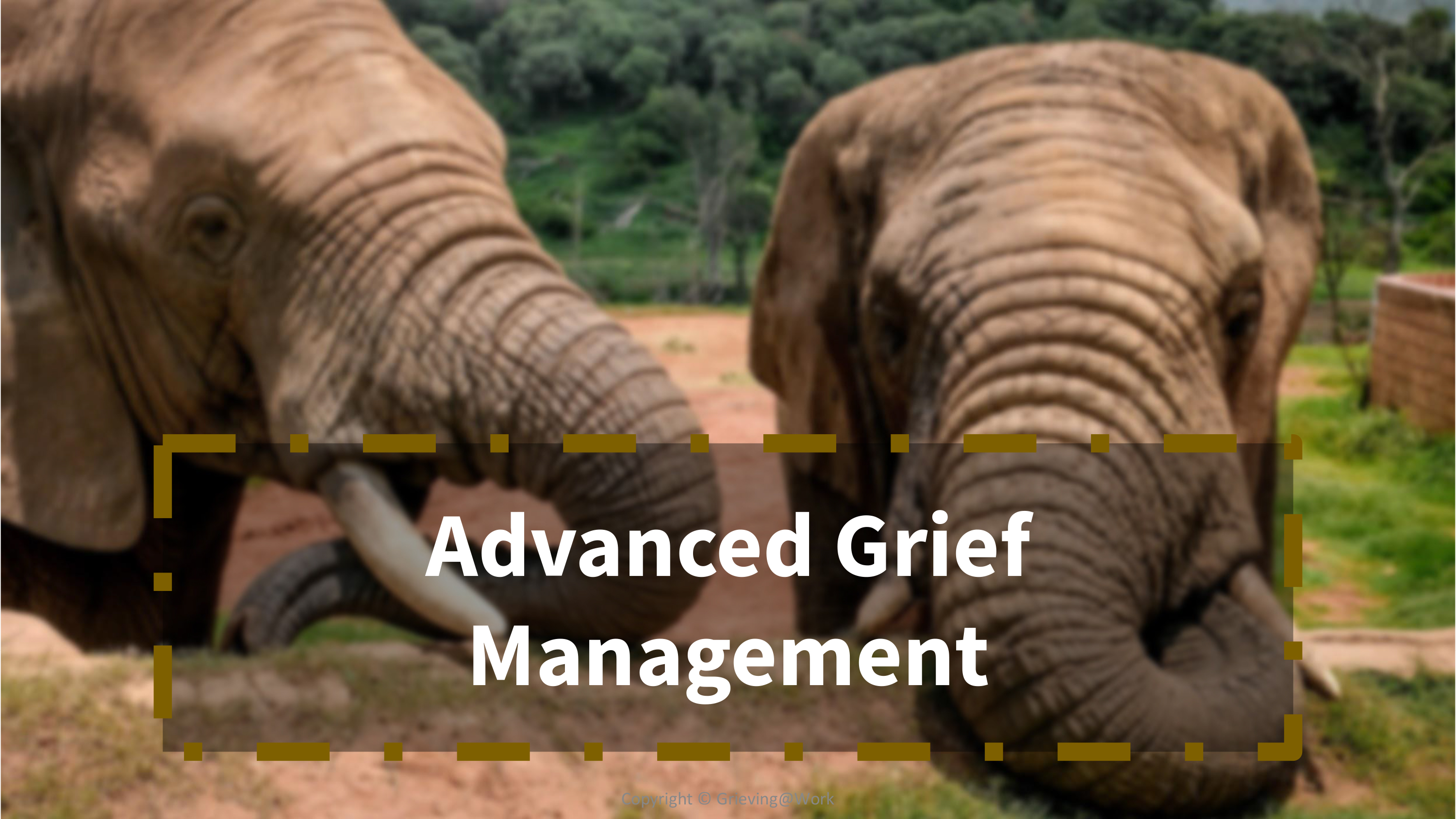 Advanced Grief Management